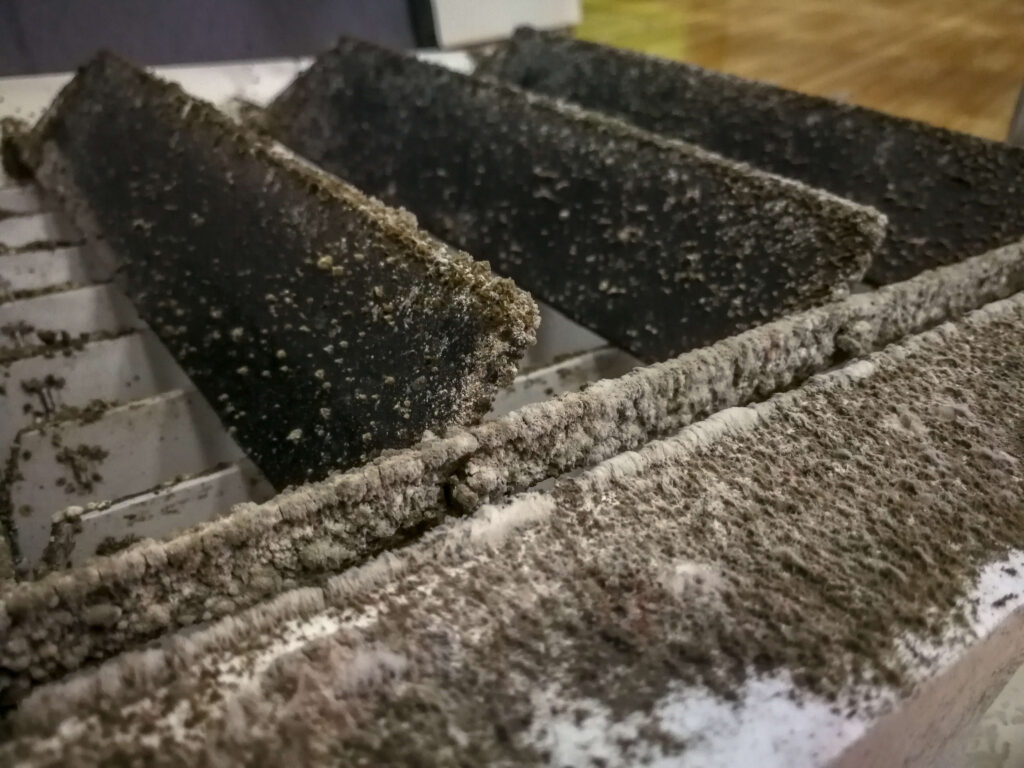 Mold and dust on register